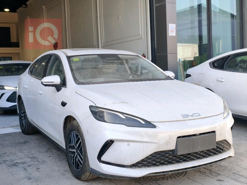 بي واي دي سيل 06 DM-i